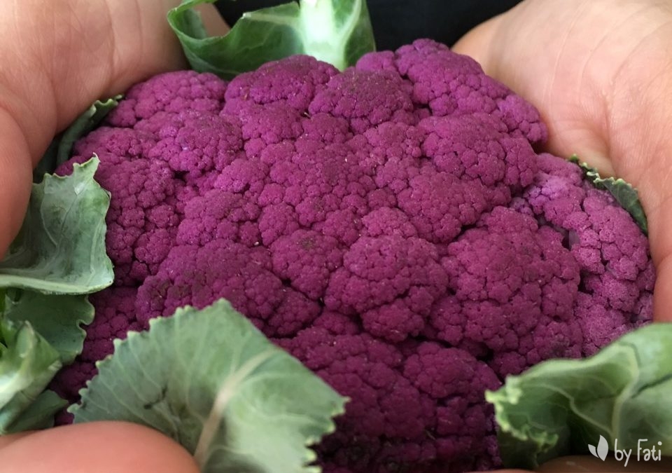 Crema de Coliflor