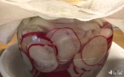 Pickles de Rabanitos y Cebolletas