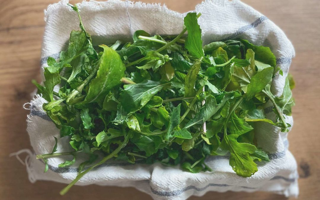 ¿Cómo recuperar Hoja Verde?